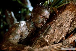 Фотографии, которые вас удивят