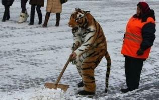 Такое возможно только в России