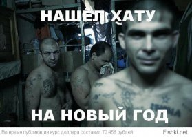 Новосибирский енот-полоскун