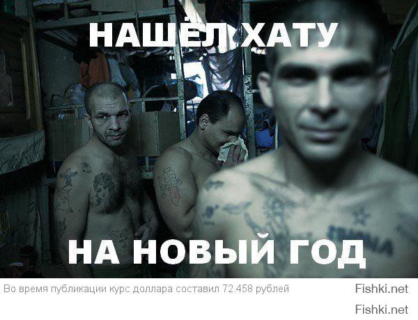 Новосибирский енот-полоскун