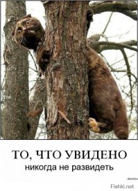 ну как мне теперь развидеть увиденное?