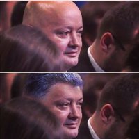 56 примеров забавного и неожиданного сходства