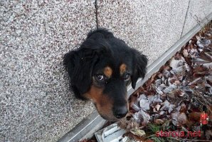 Всегда забывают про аварийный выход - а это мега важно :)