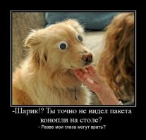 Смешные комментарии из социальных сетей 30.01.15