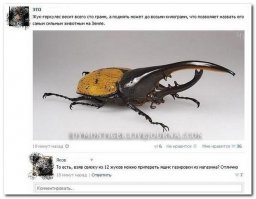 Смешные комментарии из социальных сетей 11.04.15