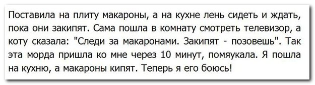 Смешные комментарии из социальных сетей 11.04.15