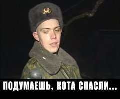 Пожарные спасли кота из огня