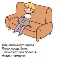 Чему можно поучится у Котэ