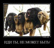 ЗачОтная тусовка