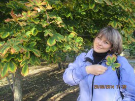 А чем эти хуже?