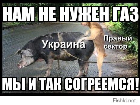 Перепись укропитеков. Часть 8