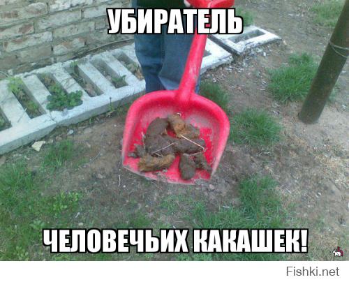 Самые необычные услуги в мире