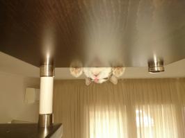 Релакс может быть разным)))