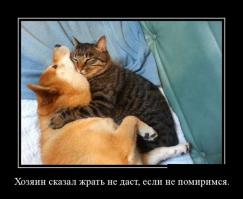 Неразлучные друзья