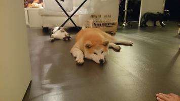 Наши тоже кентуются)))