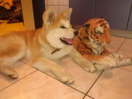 Наш пончик)))