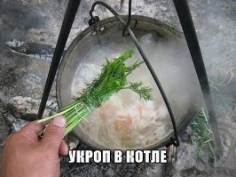 В Дебальцево таки нет котла?