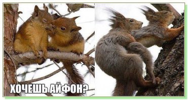 18 отрезвляющих иллюстраций о том, как смартфоны завладели нашей жизнью