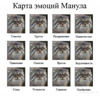 8 смертных грехов человека