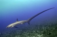 Школьные приколы из тетрадей и дневников