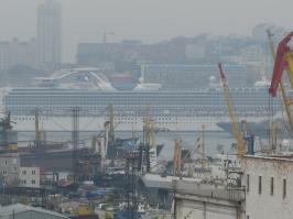 Фото из окна спальни! За качество сори.