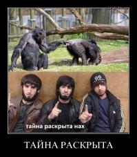  Забавные доказательства, что люди являются родственниками обезьян