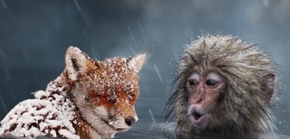 Из не опубликованного