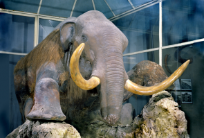 Тогда это еще более "глубокий Тукдам"