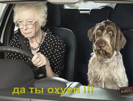 Лучшая подстава от пешехода!