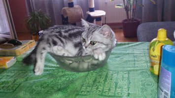 а ещё так...
и вот так..))