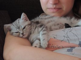 а ещё так...
и вот так..))