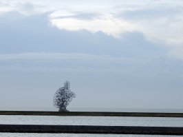 на берегу...где то в голландии...