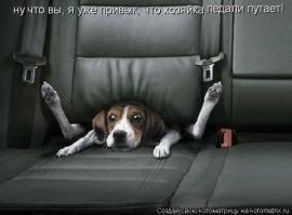 без ремня безопасности будет вот так