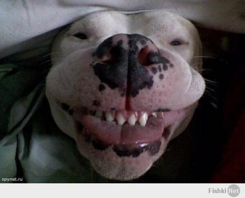 взял, хорошую пилу испортил....