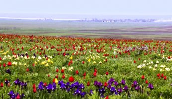 Калмыкия, Россия.