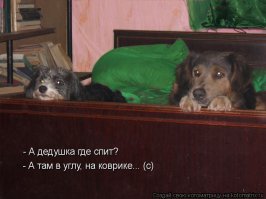  Возьмите нас собой в поездку, ну пожалуйста!