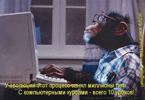 14 животных, которые не могут смириться с тем, что не родились людьми