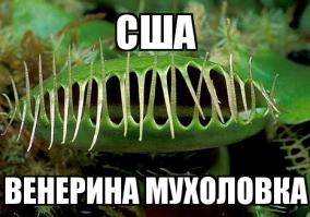 Цветы - национальные символы стран