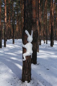 Необычные снеговики
