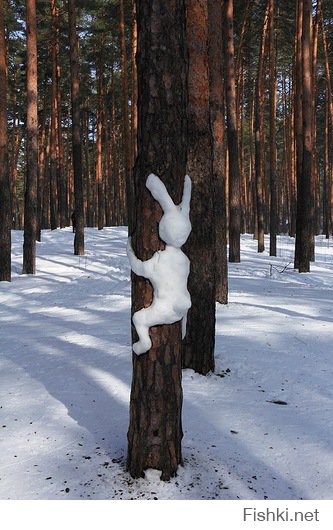 Необычные снеговики