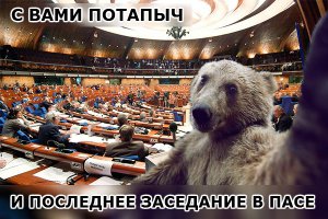 Пушков: РФ прерывает контакты с ПАСЕ