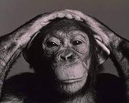 Кстати, в этом же номере Time были опубликованы фото молодого Барака Обамы.