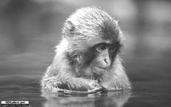 Кстати, в этом же номере Time были опубликованы фото молодого Барака Обамы.