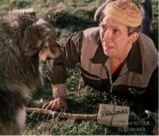 Тем временем в России...