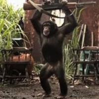 Доверил девушке оружие