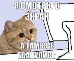 если честно, я в акуе!