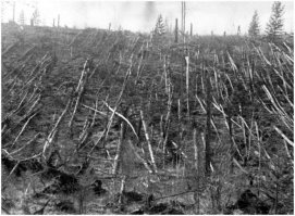 Геофизическое оружие. "HAARP" vs "СУРА"