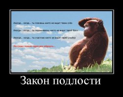 Законы подлости - 35 закономерностей жизни