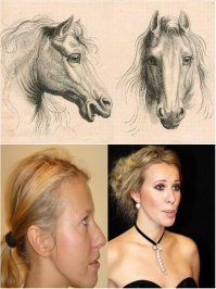 Варианты эволюции