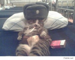 Маленькие все милые, а вырастают и вот что получается:)